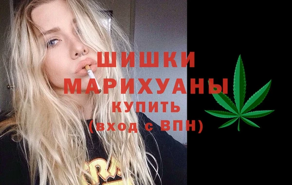 МДПВ Заводоуковск