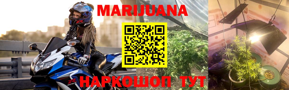 Бошки Шишки SATIVA & INDICA  Марихуана ГИДРОПОН  Вход с VPN  Касимов 